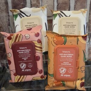 Biopure Anti-Bacterial Hand Wipes Bundle - 4 Pack